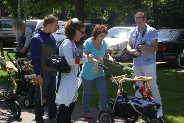 2011-06-12 Schollebos